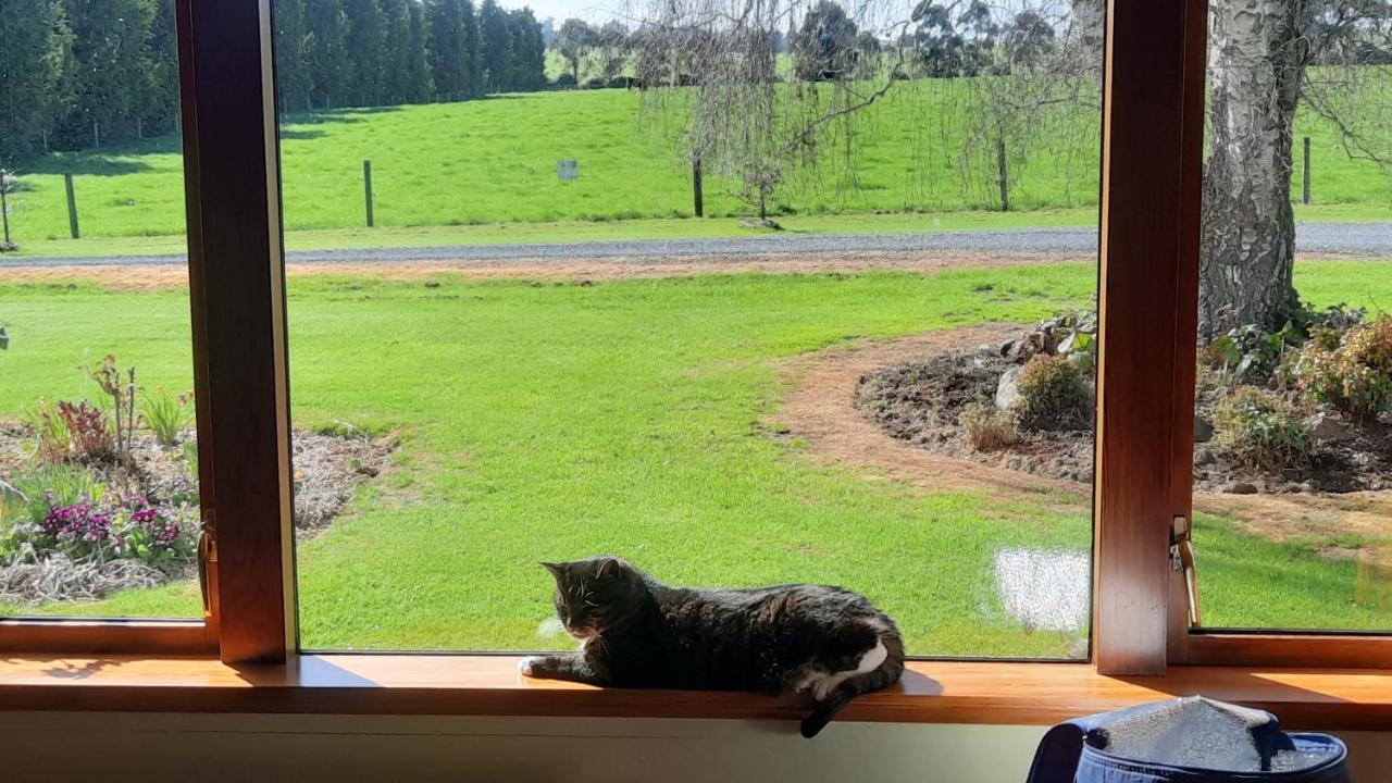 Greenfield Country Homestay Pukeawa Dış mekan fotoğraf